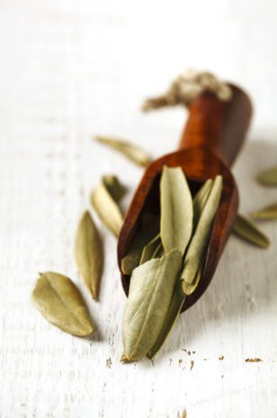 olive-tea-benefits-antioxidant-1